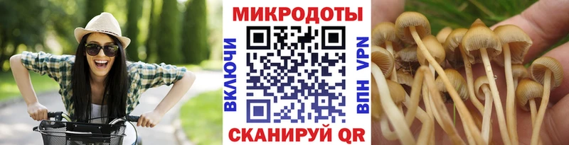 Галлюциногенные грибы Psilocybe  даркнет формула  Люберцы 